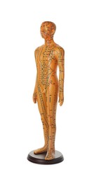 Photo of Acupuncture model. Male mannequin with dots and lines isolated on white