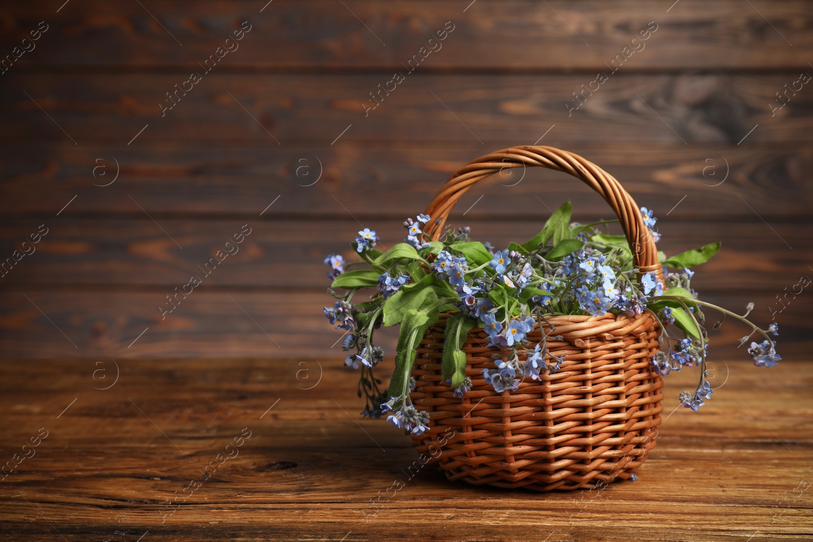 Photo of Beautiful forget-me-not flowers in wicker basket on wooden table, space for text