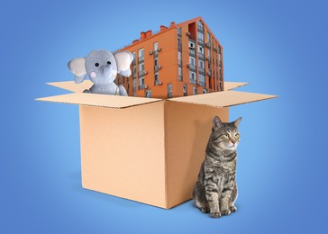 Image of Cute cat near cardboard box with building and toy elephant on blue background