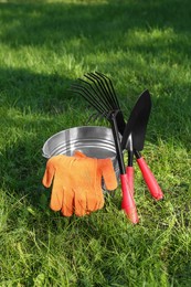 Photo of Metal bucket, gloves and gardening tools on grass outdoors