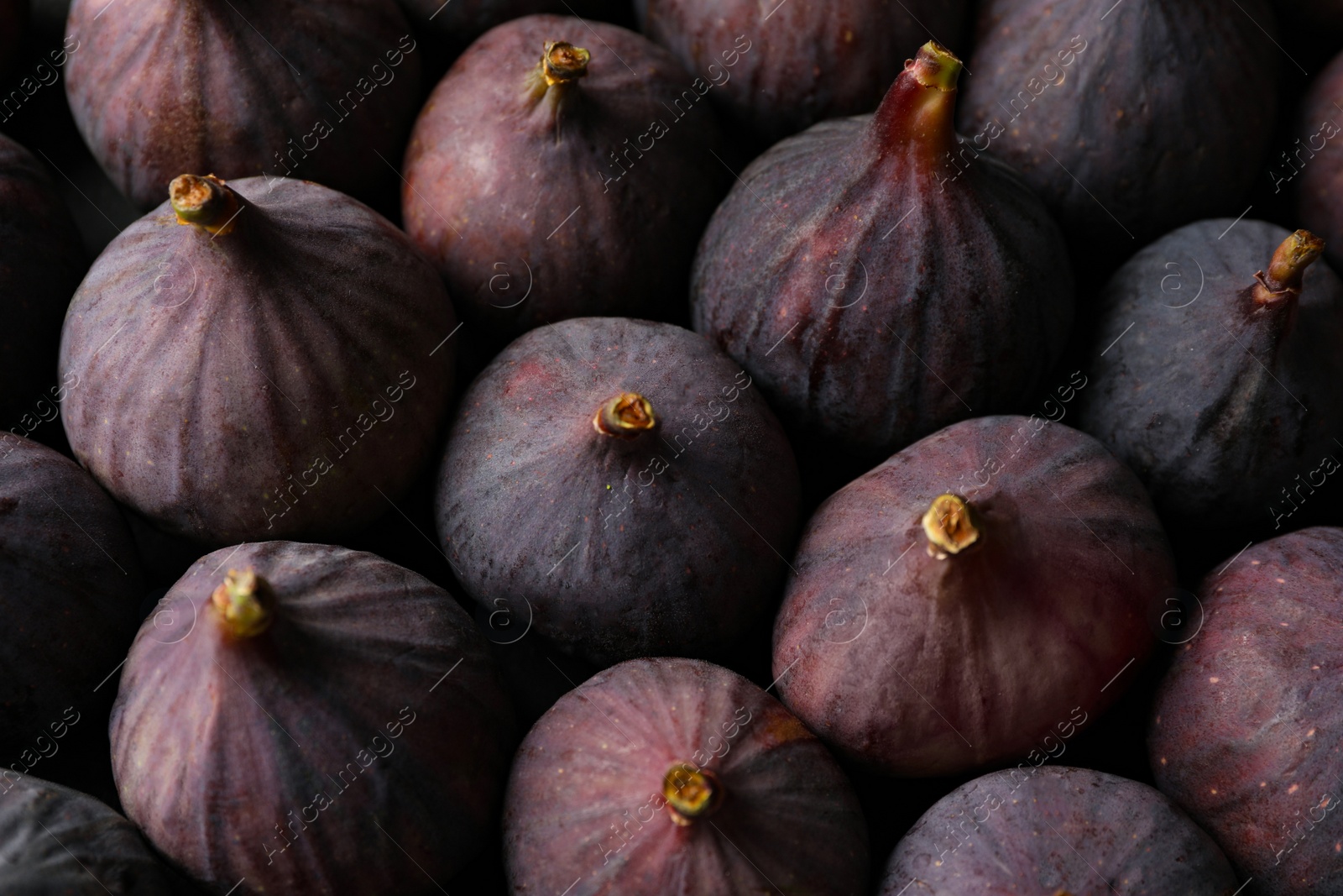 Photo of Tasty raw purple figs as background, closeup