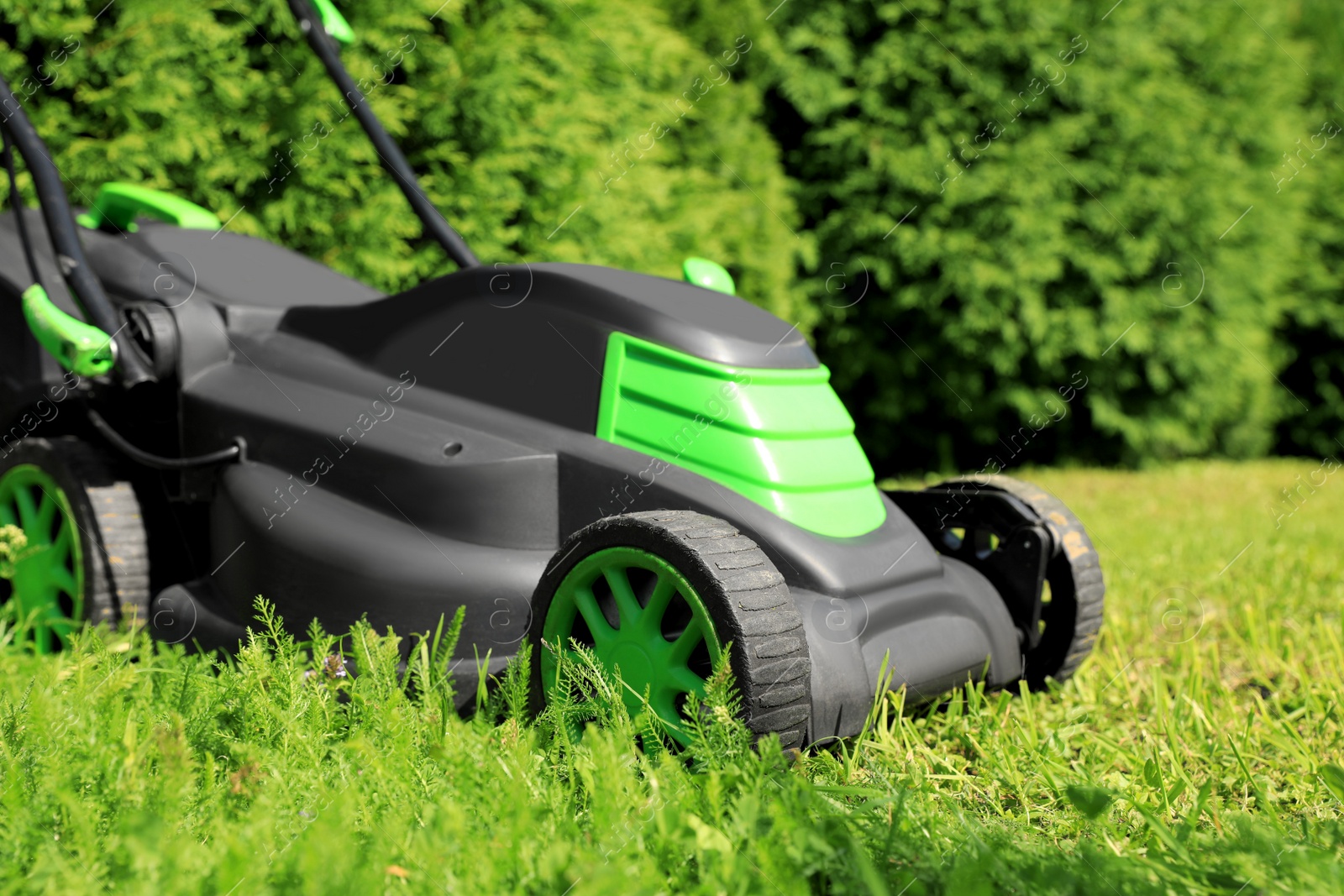 Photo of Cutting green grass with lawn mower in garden