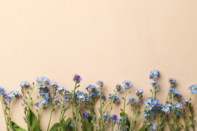 Beautiful Forget-me-not flowers on beige background, flat lay. Space for text