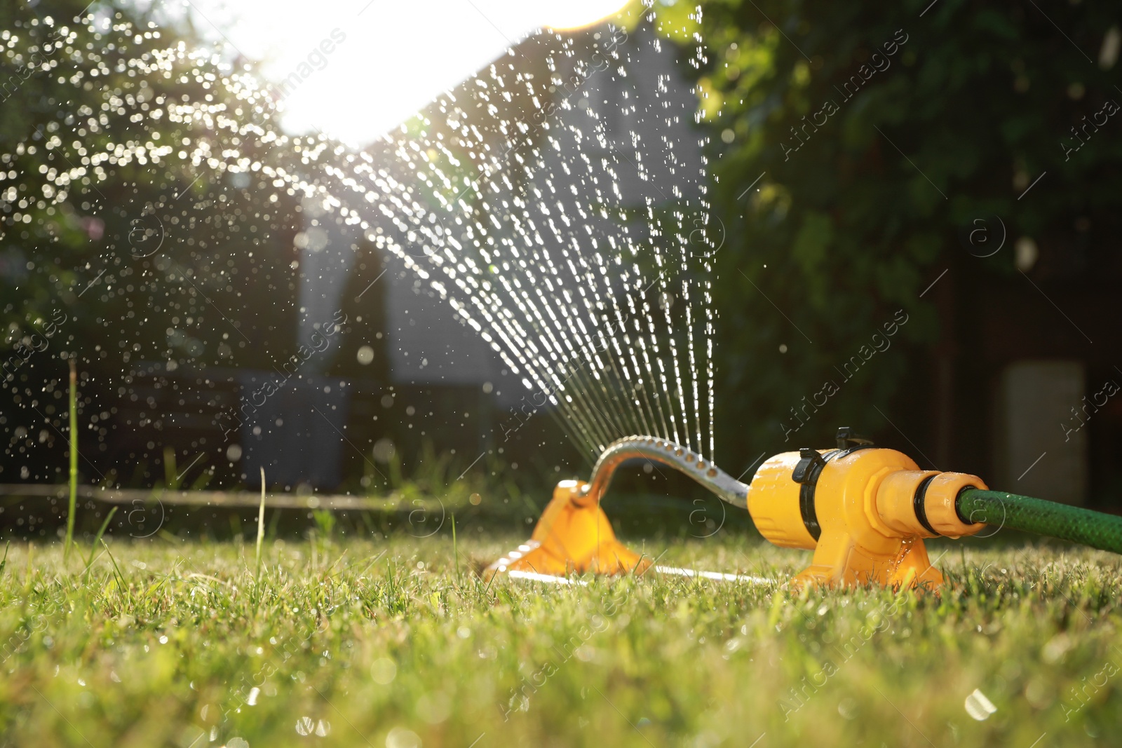 Photo of Automatic sprinkler watering green grass on sunny day in garden. Irrigation system