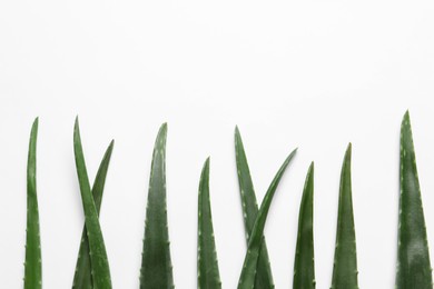 Fresh aloe vera leaves on white background, flat lay. Space for text