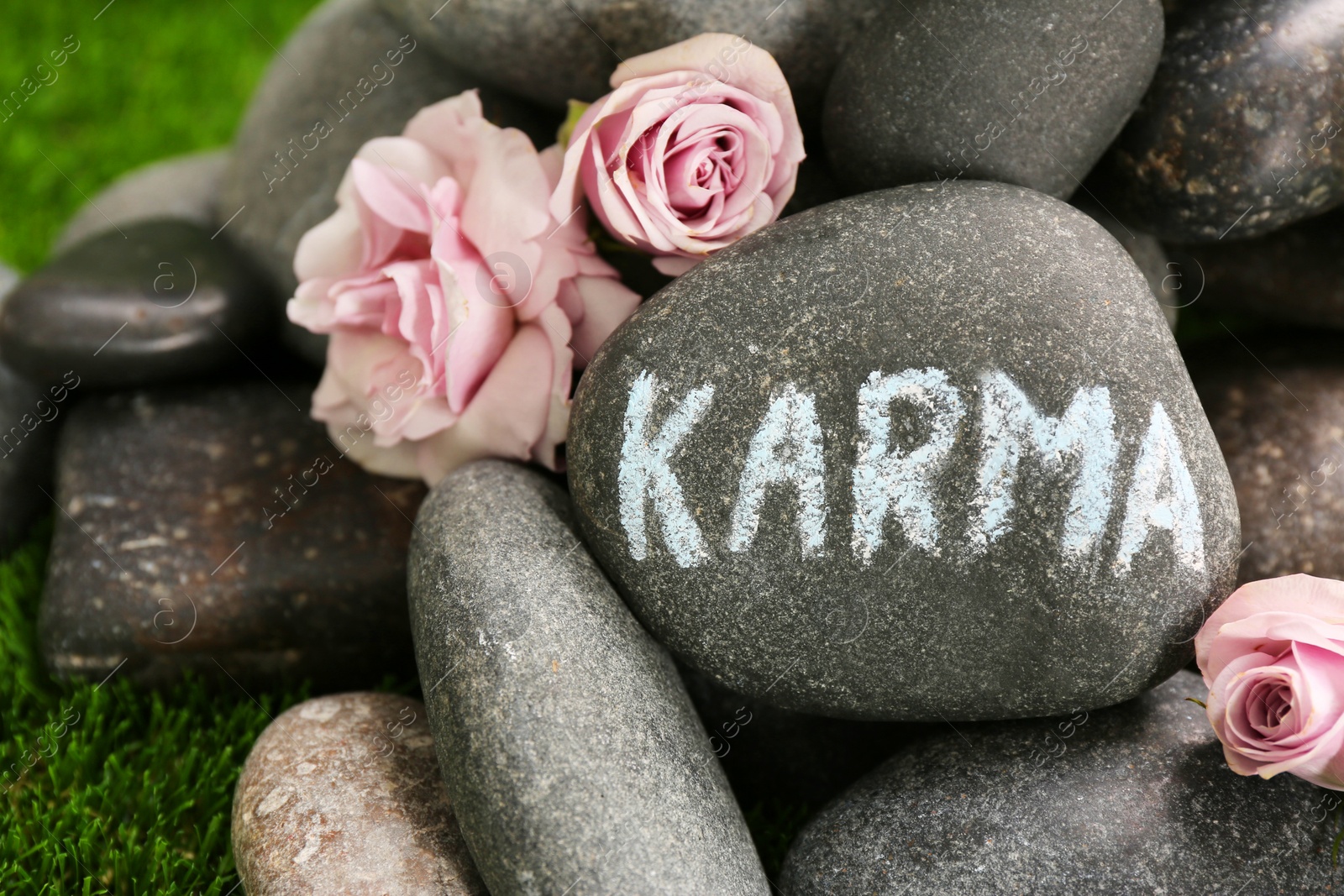 Photo of Stone with word Karma and beautiful flowers on green grass, closeup