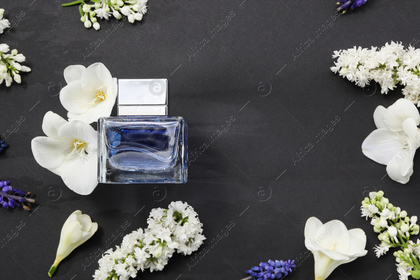 Photo of Bottle of luxury perfume and floral decor on black background, flat lay. Space for text