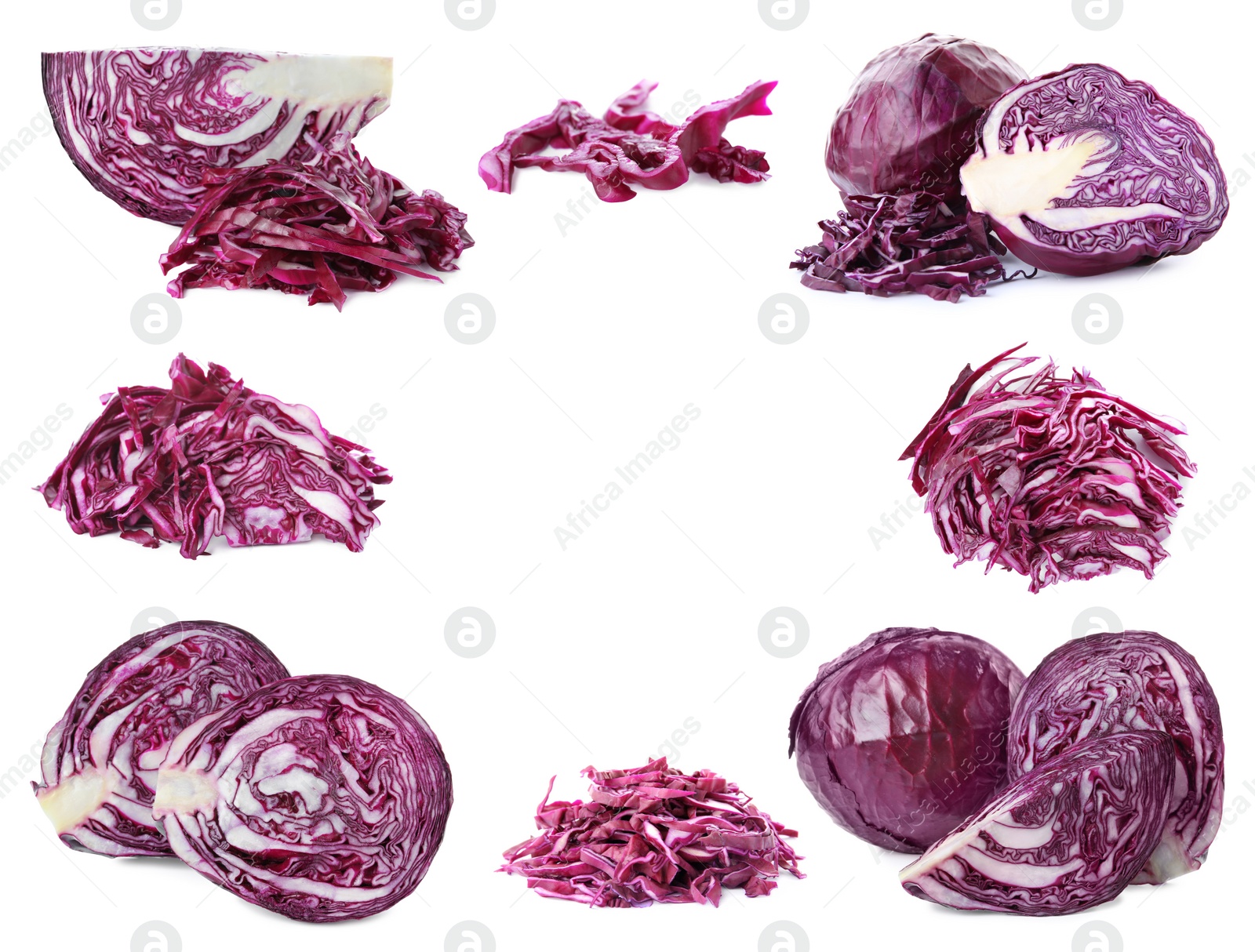 Image of Frame of cut and whole red cabbages on white background