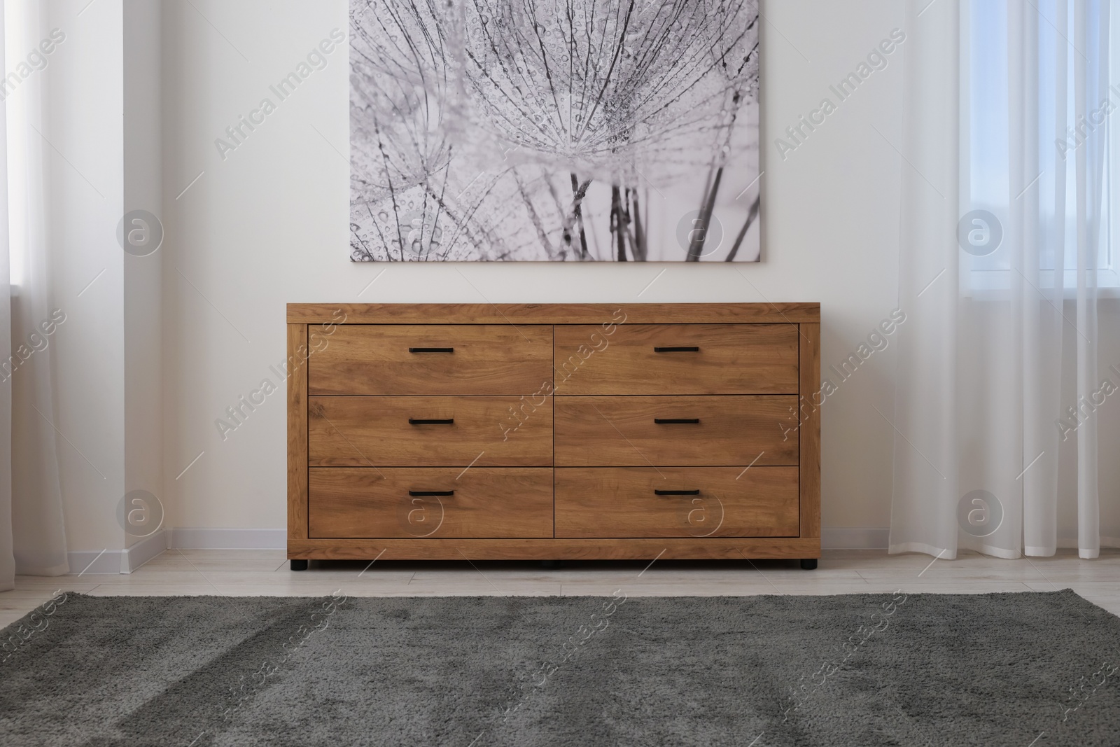 Photo of Wooden chest of drawers in modern living room interior