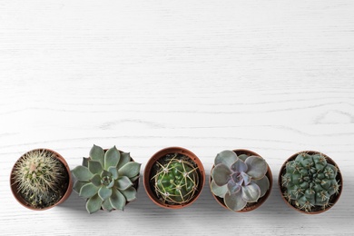 Photo of Flat lay composition with different succulent plants in pots on white wooden table, space for text. Home decor