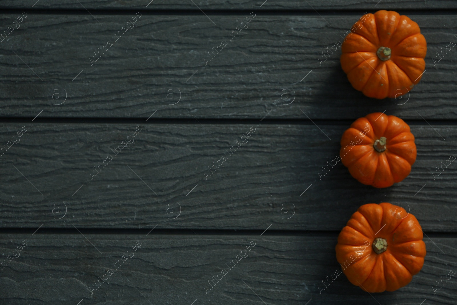 Photo of Many whole ripe pumpkins on wooden table, flat lay. Space for text