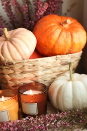 Wicker basket with beautiful heather flowers, pumpkins and burning candles on table, closeup