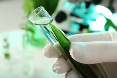 Lab assistant holding test tube with leaf on blurred background, closeup. Plant chemistry