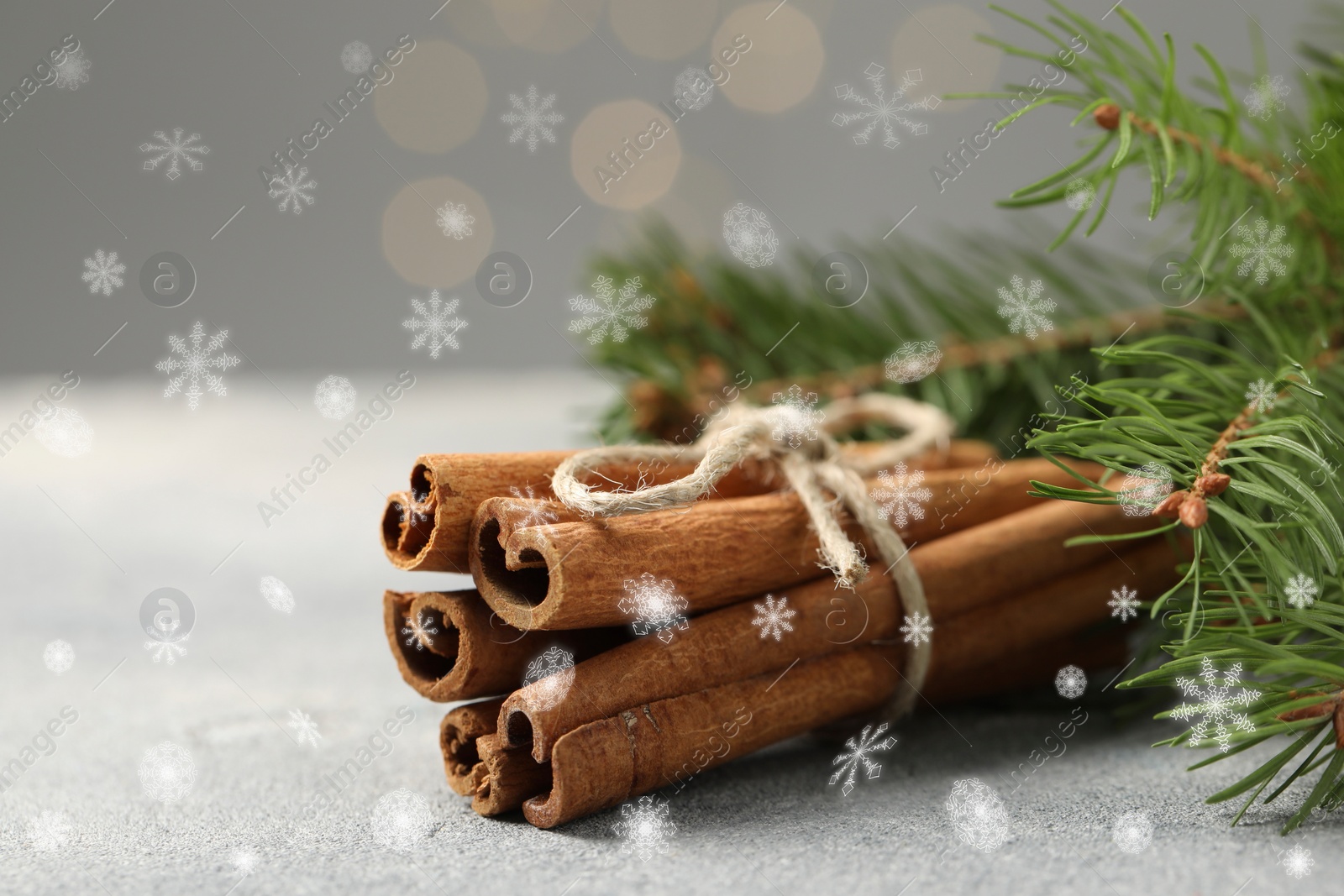 Image of Cinnamon and fire tree branches on grey table, closeup. Space for text