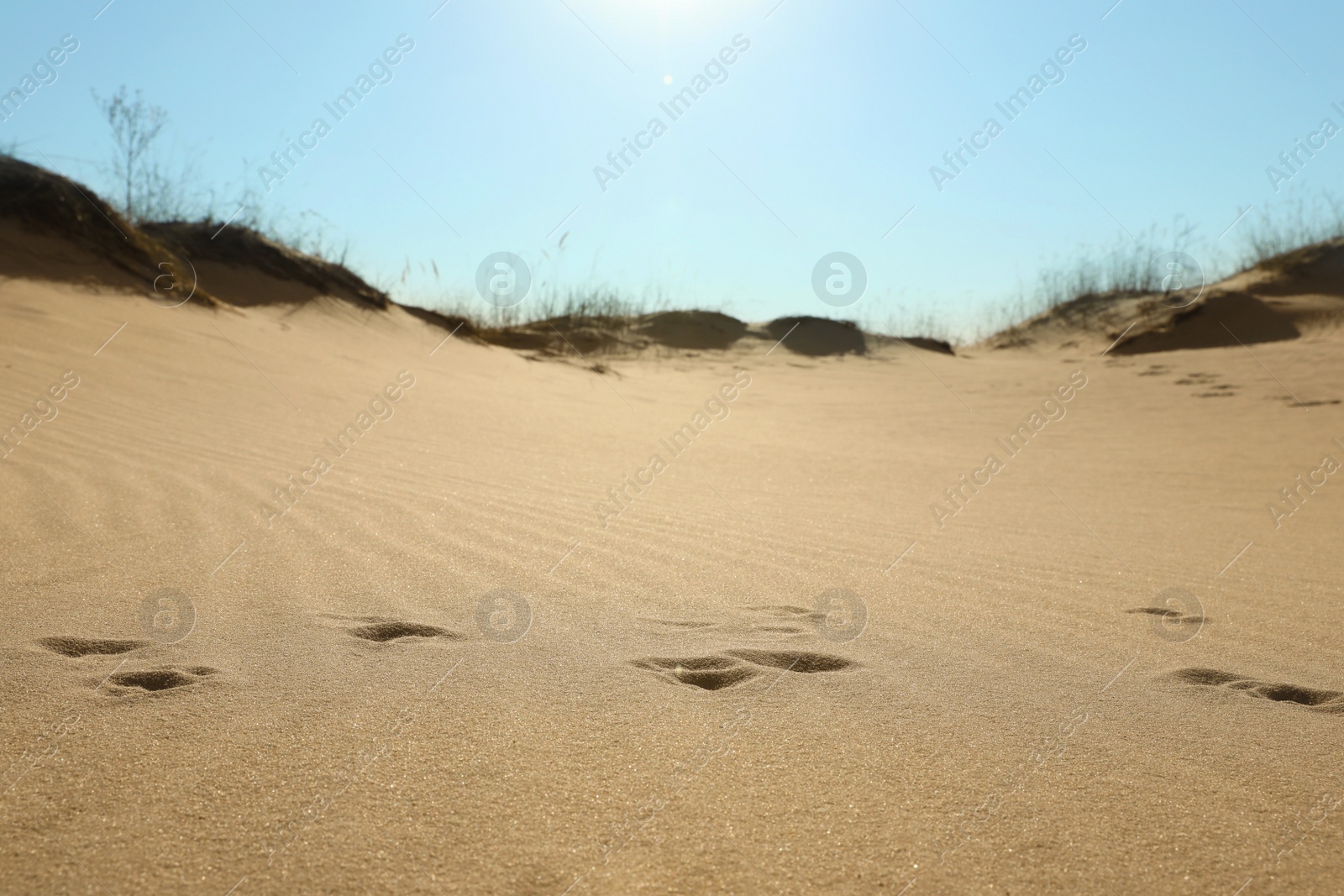 Photo of Picturesque view of desert on sunny day