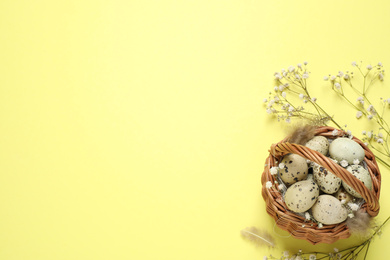 Easter flat lay composition with flowers and quail eggs on light background. Space for text