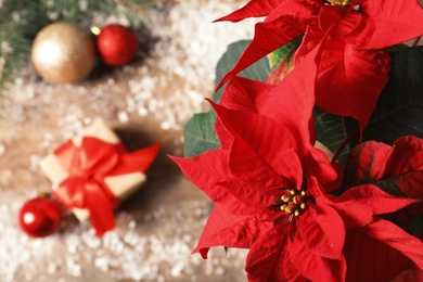 Poinsettia (traditional Christmas flower) with decor and gift on wooden table, top view