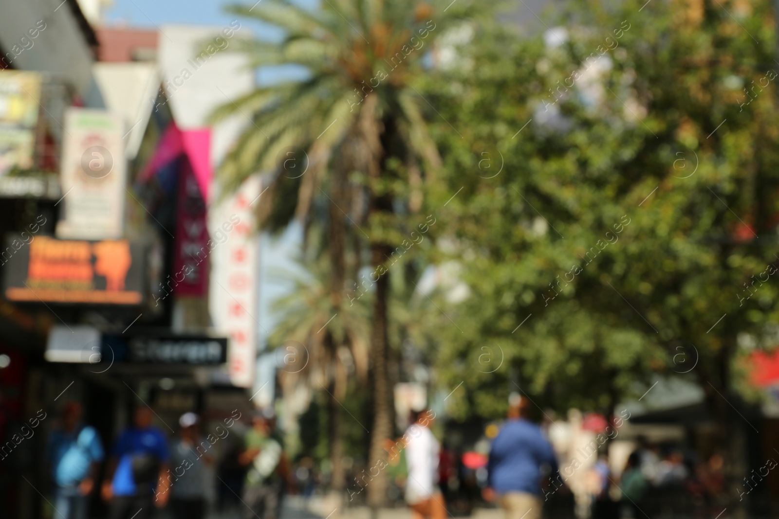 Photo of Blurred view of city street with palm trees