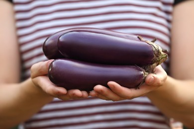Photo of Woman holding fresh ripe eggplants, closeup view