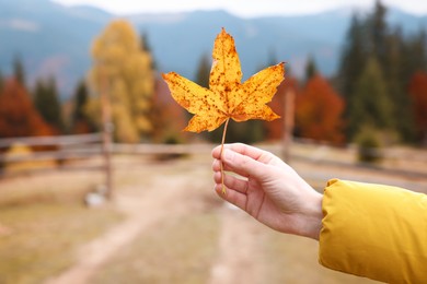 Woman holding beautiful yellow leaf outdoors on autumn day, closeup. Space for text