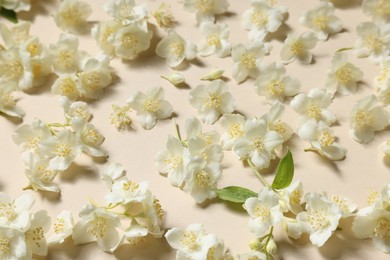 Photo of Many aromatic jasmine flowers on beige background, above view