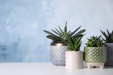 Photo of Beautiful Haworthia, Aloe and Gasteria in pots on white table, space for text. Different house plants
