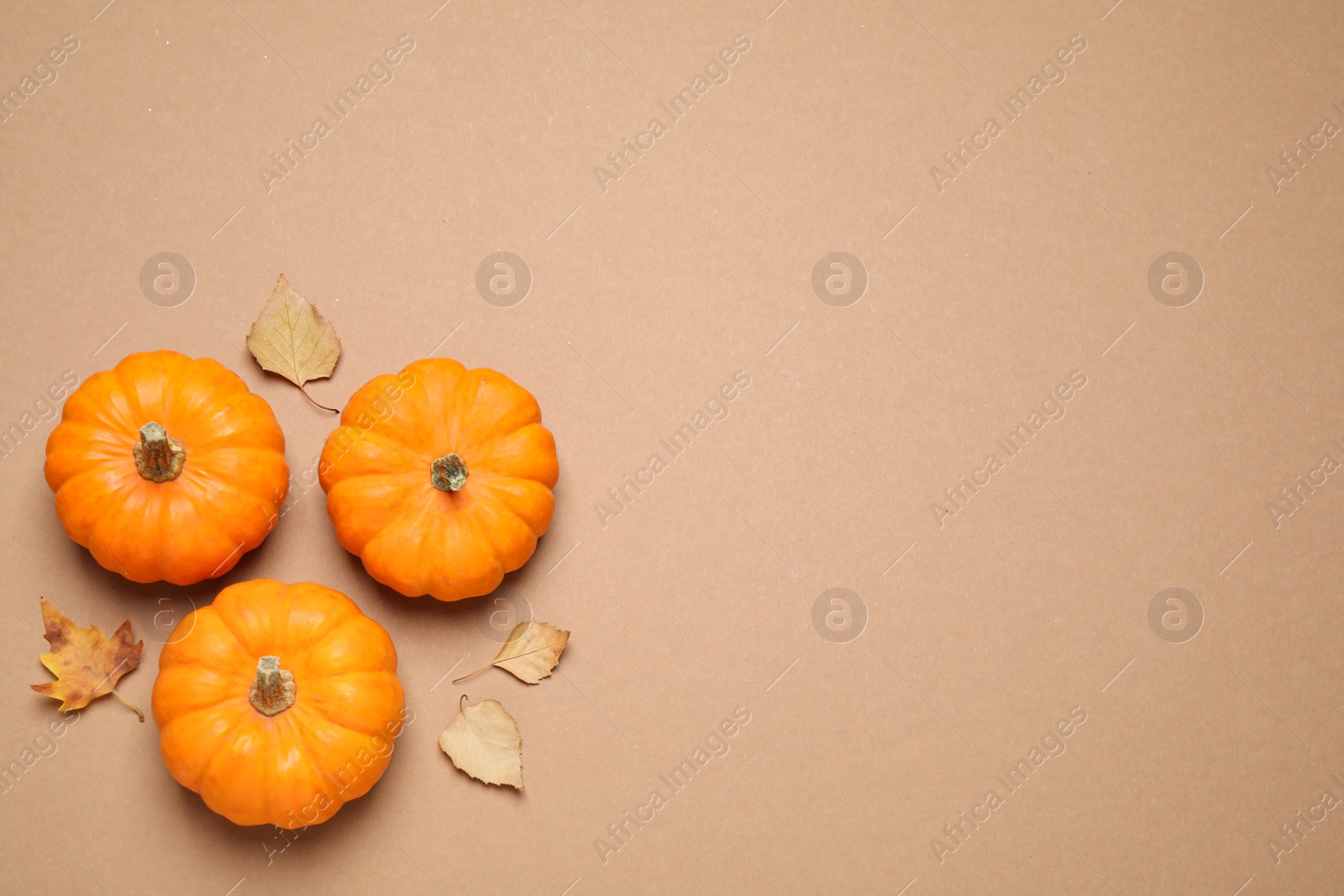 Photo of Fresh ripe pumpkins and autumn leaves on brown background, flat lay. Space for text