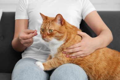 Photo of Woman giving vitamin pill to cute cat on couch indoors, closeup