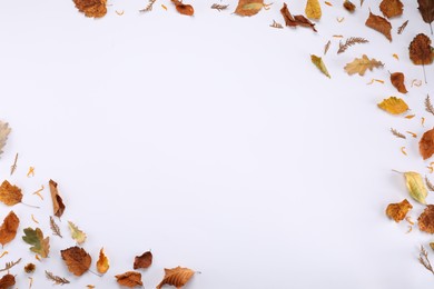 Photo of Frame of dry autumn leaves on white background, flat lay. Space for text