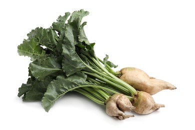 Photo of Sugar beets with leaves on white background