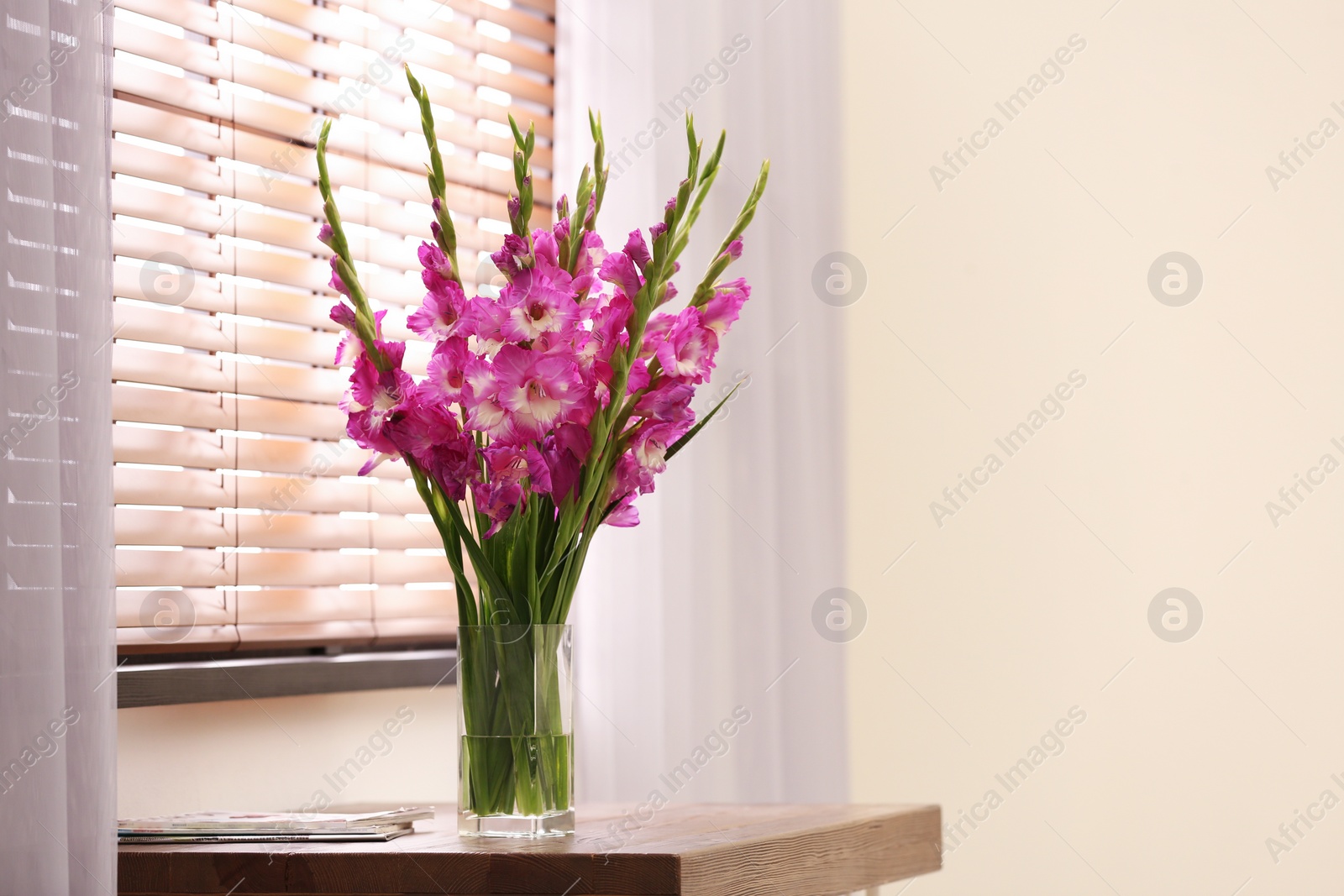 Photo of Vase with beautiful pink gladiolus flowers on wooden table in room, space for text