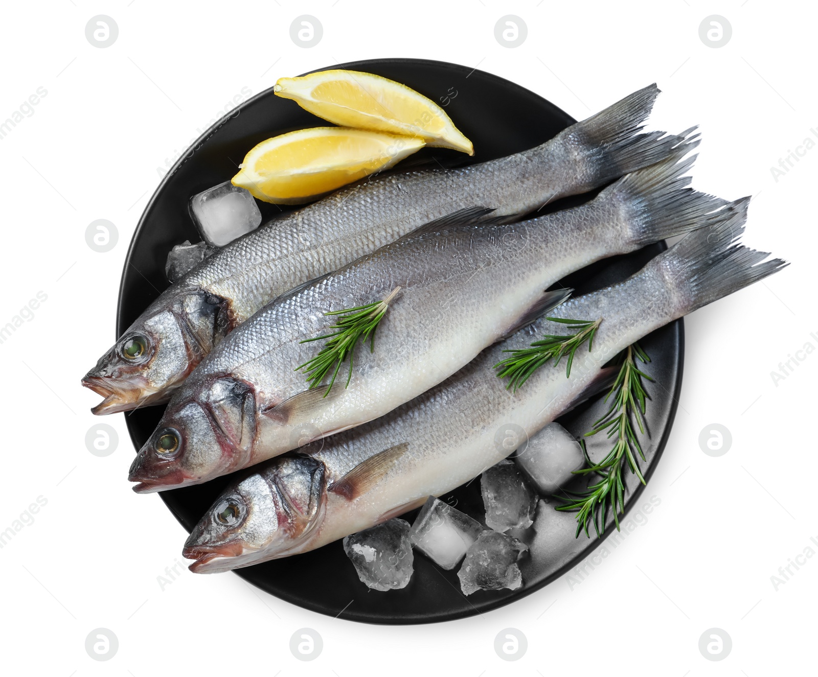 Photo of Tasty sea bass fish and ingredients isolated on white, top view