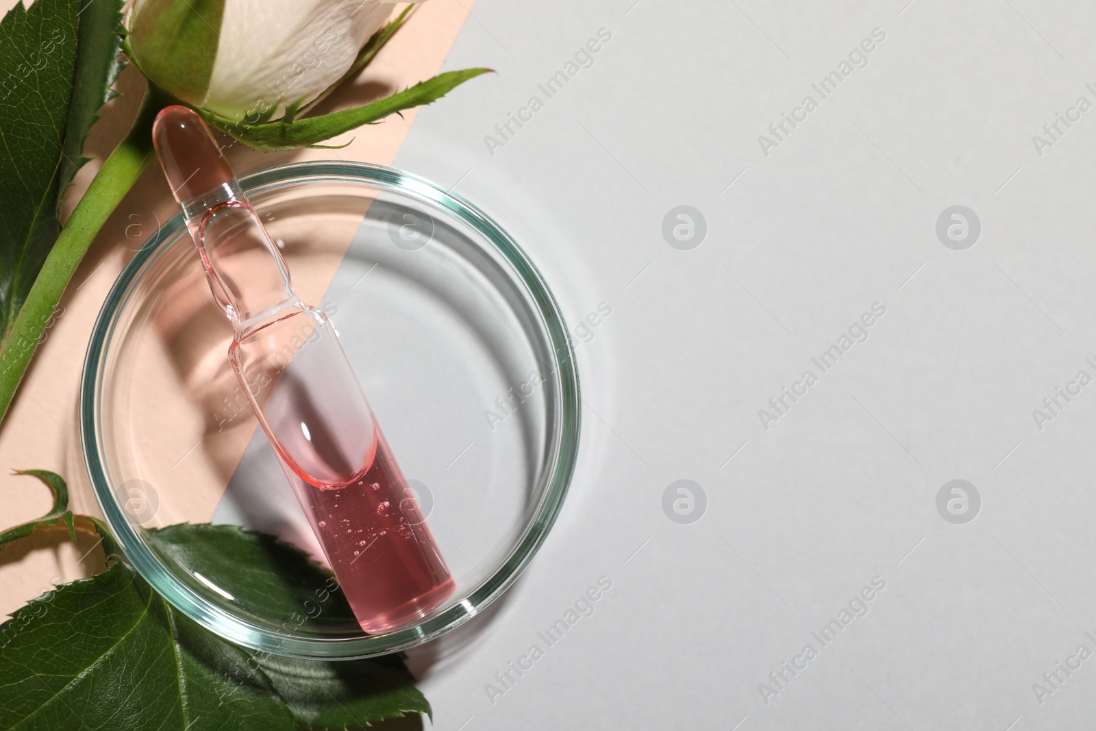 Photo of Pharmaceutical ampoule with medication and flower on light background, flat lay. Space for text