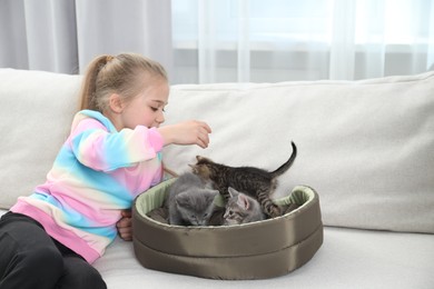 Photo of Little girl with cute fluffy kittens on sofa indoors