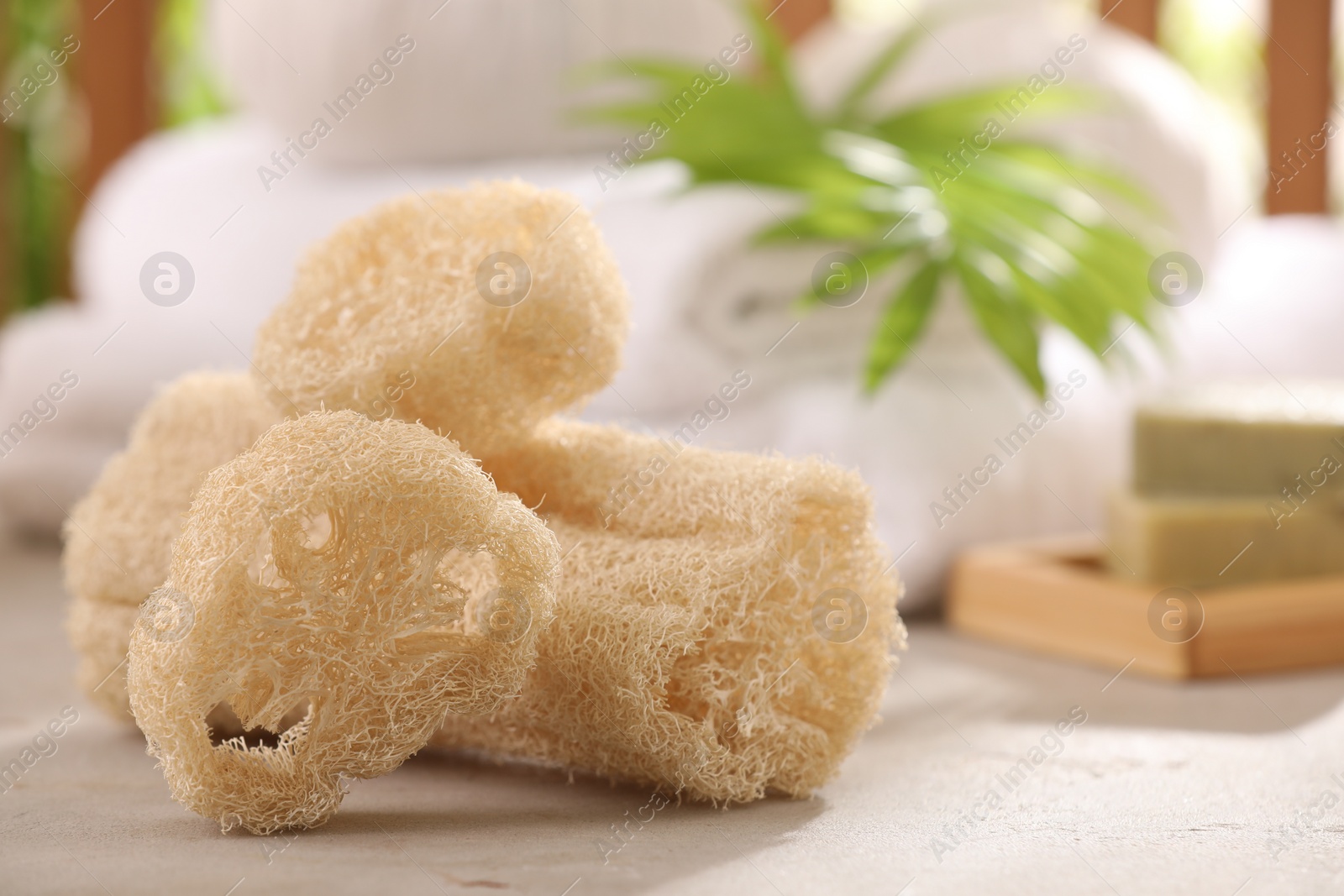 Photo of Natural loofah sponges on grey textured table