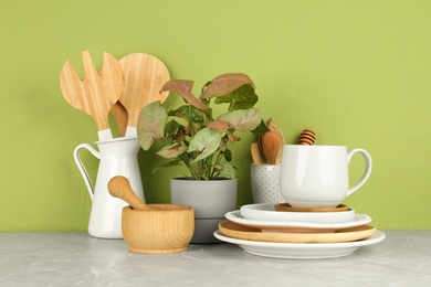 Photo of Green plant and different kitchenware on table near color wall. Modern interior design