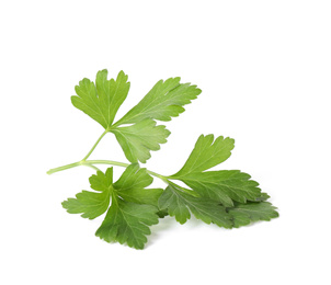 Photo of Aromatic fresh green parsley isolated on white