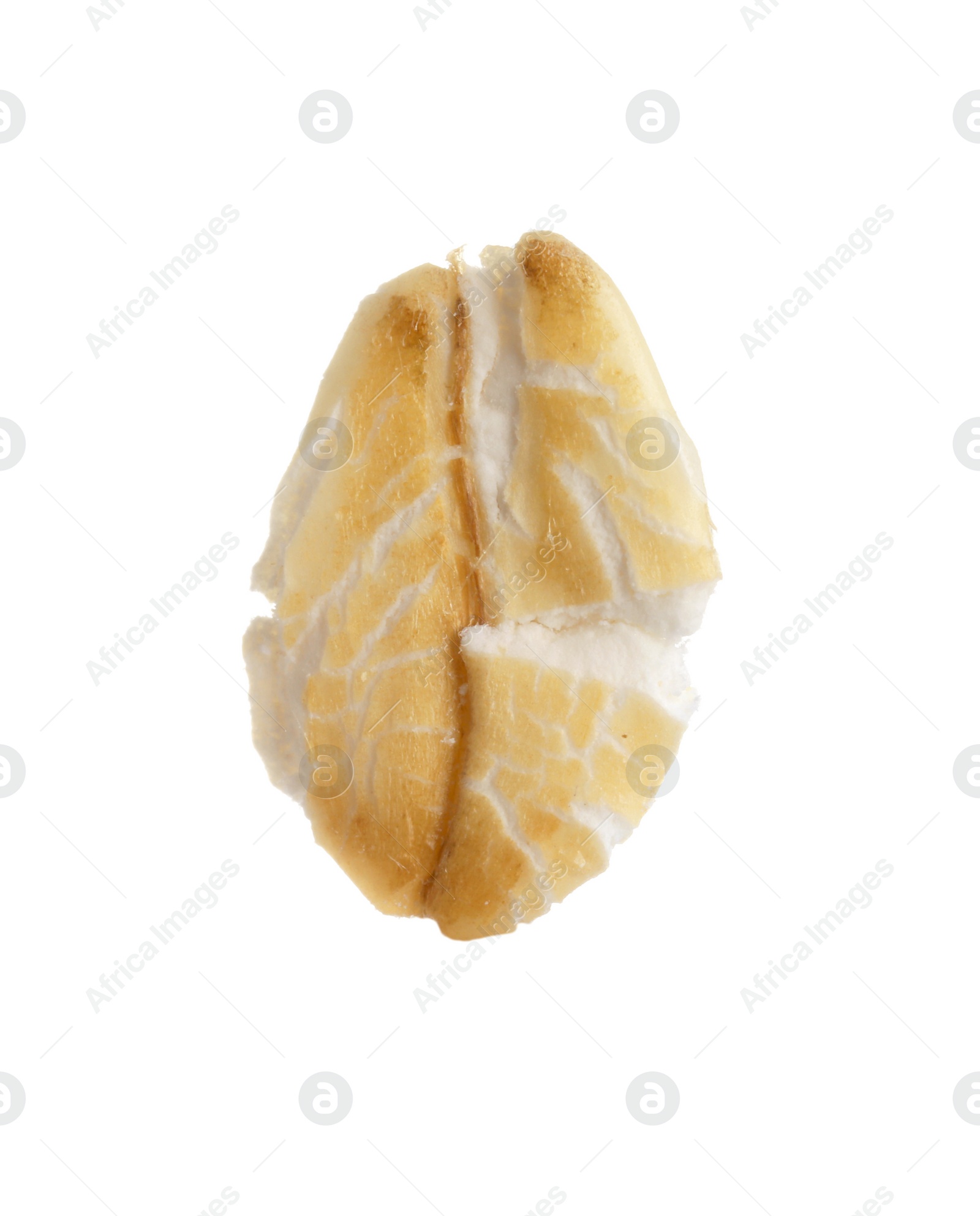 Photo of One dry oat flake isolated on white