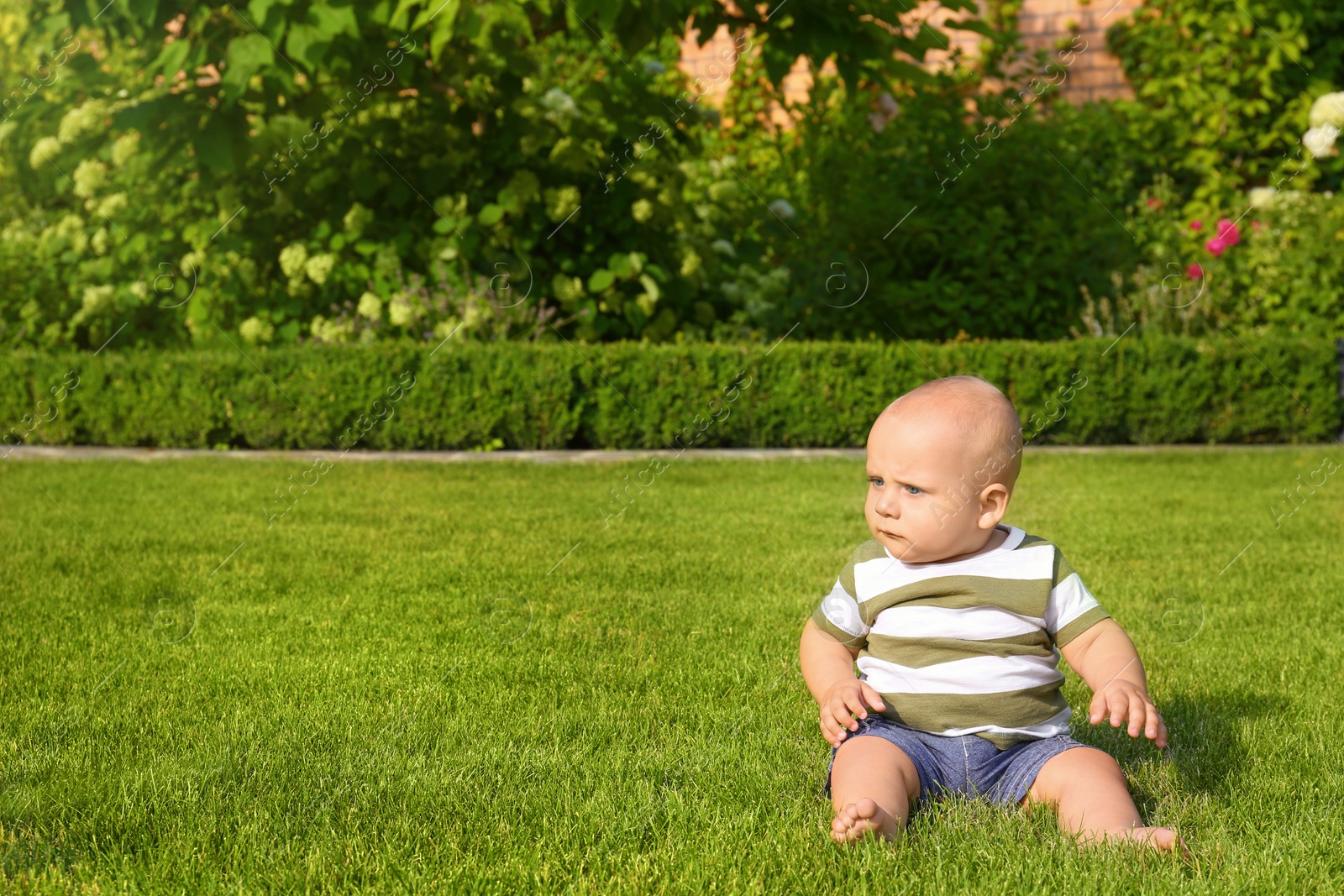 Photo of Adorable little baby sitting on green grass outdoors