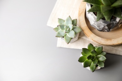 Photo of Beautiful succulents on light grey table, flat lay. Space for text