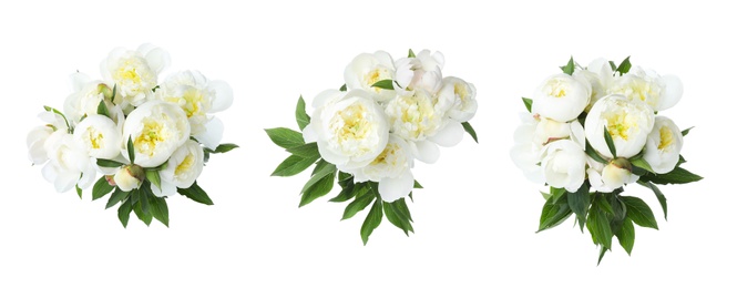 Image of Set of beautiful peonies on white background. Bright bouquets