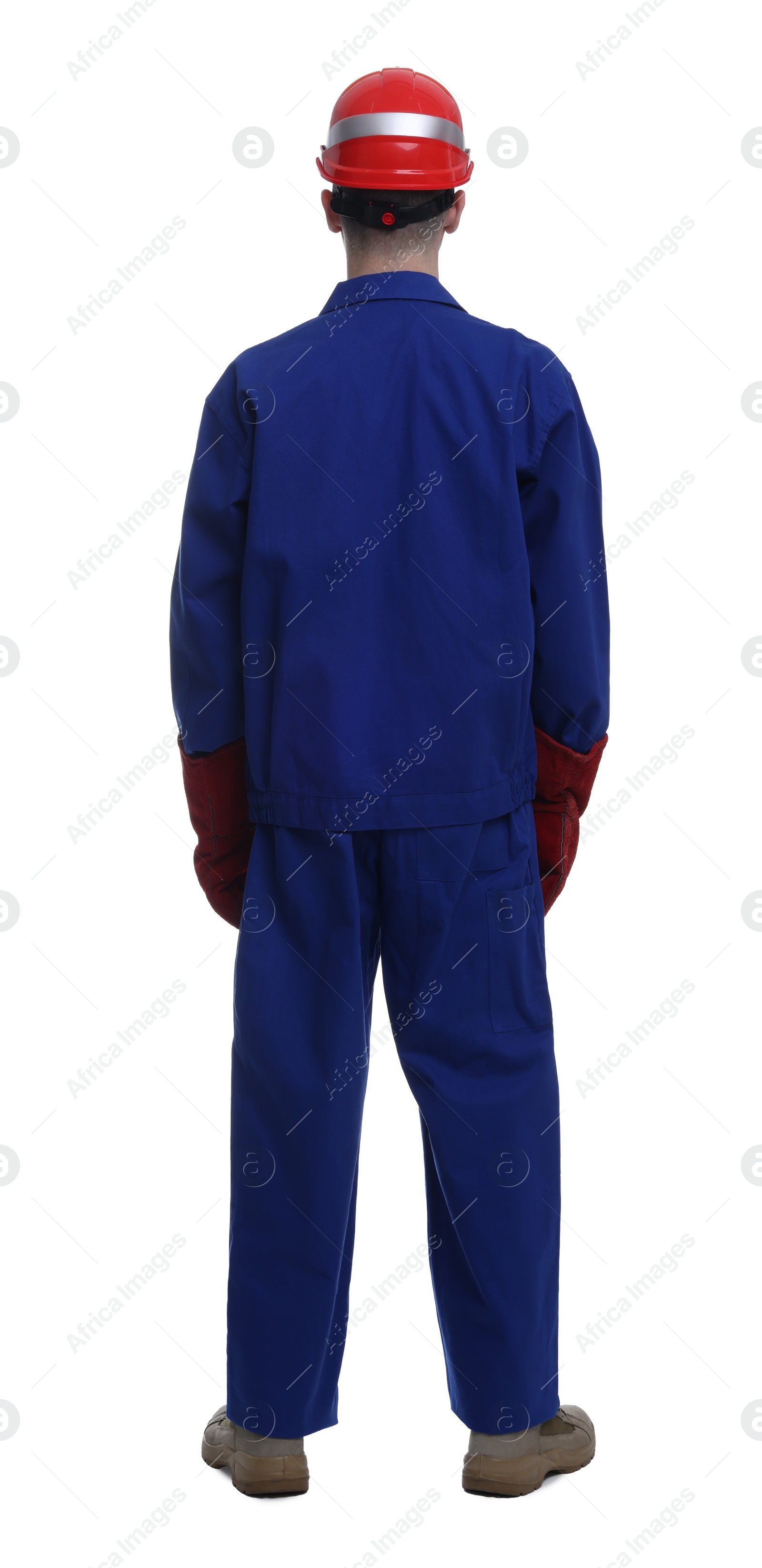 Photo of Young man wearing safety equipment on white background, back view