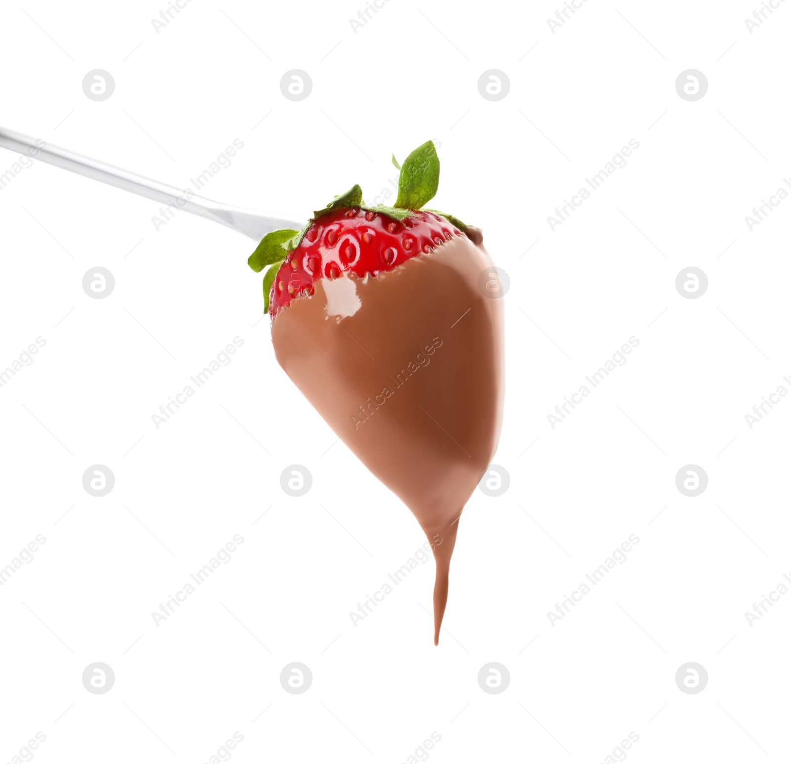 Photo of Strawberry with milk chocolate on fondue fork against white background