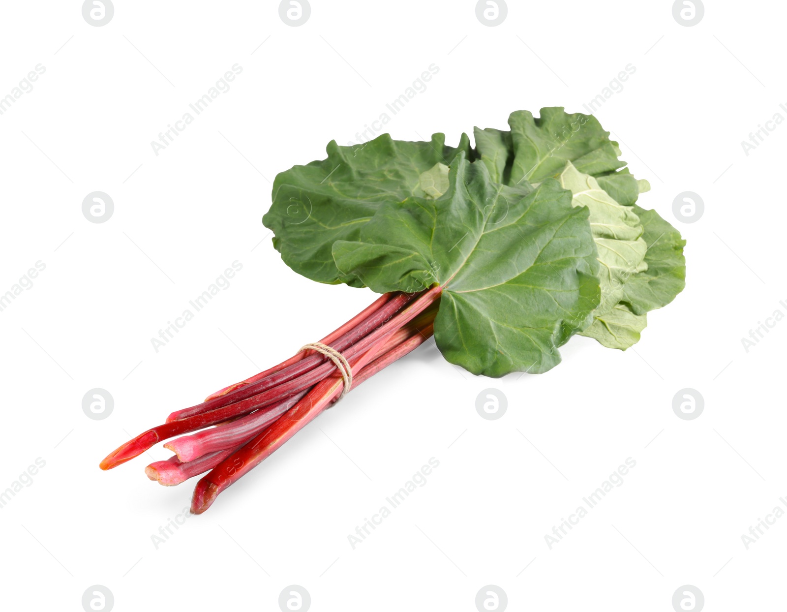 Photo of Fresh rhubarb stalks with leaves isolated on white