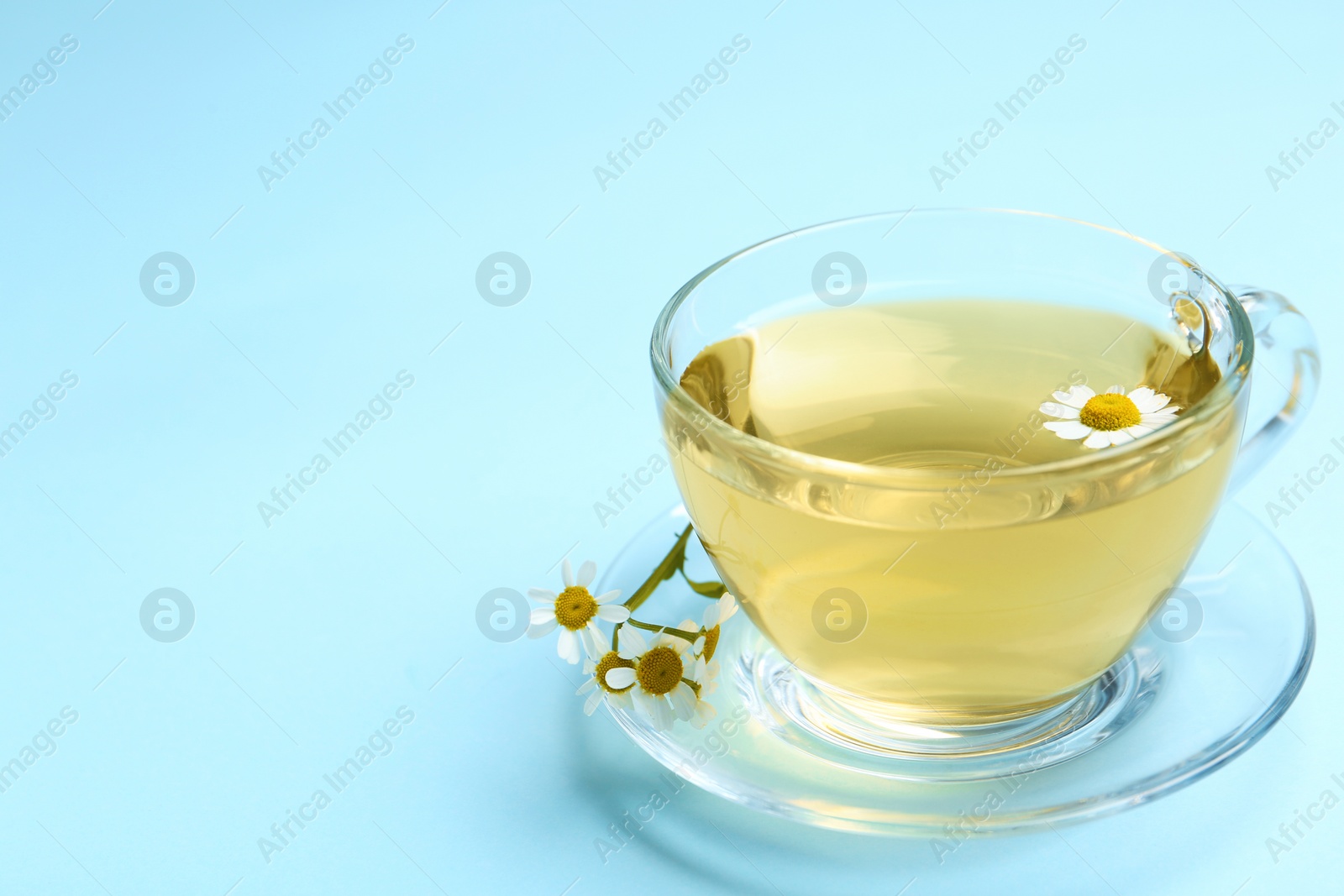 Photo of Delicious chamomile tea in glass cup on light blue background. Space for text