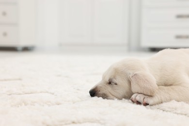 Photo of Cute little puppy lying on white carpet indoors, closeup. Space for text
