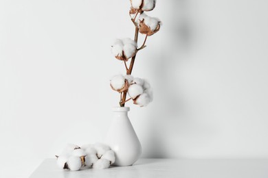 Cotton branch with fluffy flowers in vase on wooden table against white background. Space for text