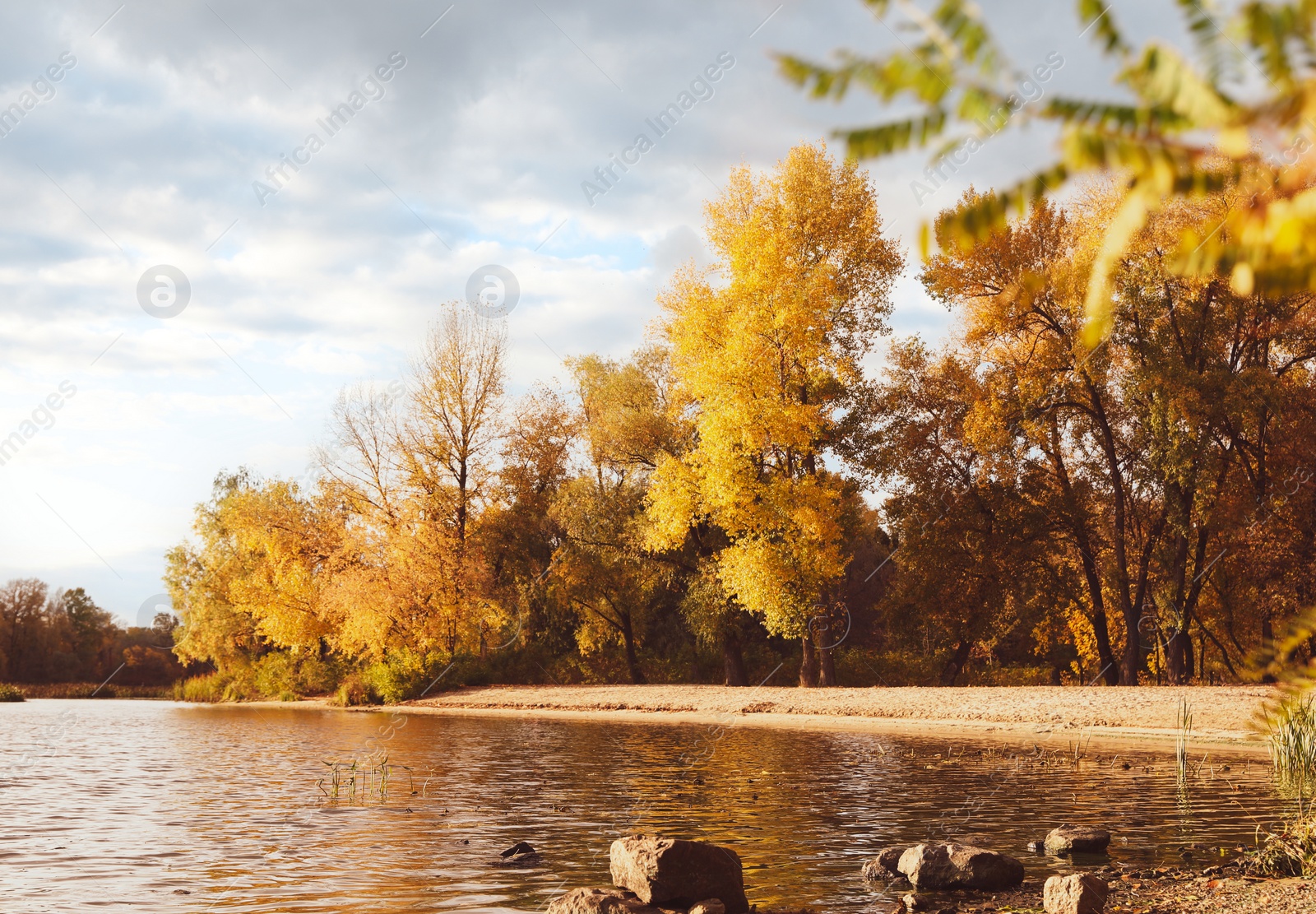 Photo of Picturesque view of river and trees with bright leaves. Autumn season