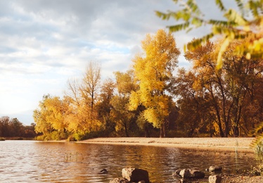 Picturesque view of river and trees with bright leaves. Autumn season