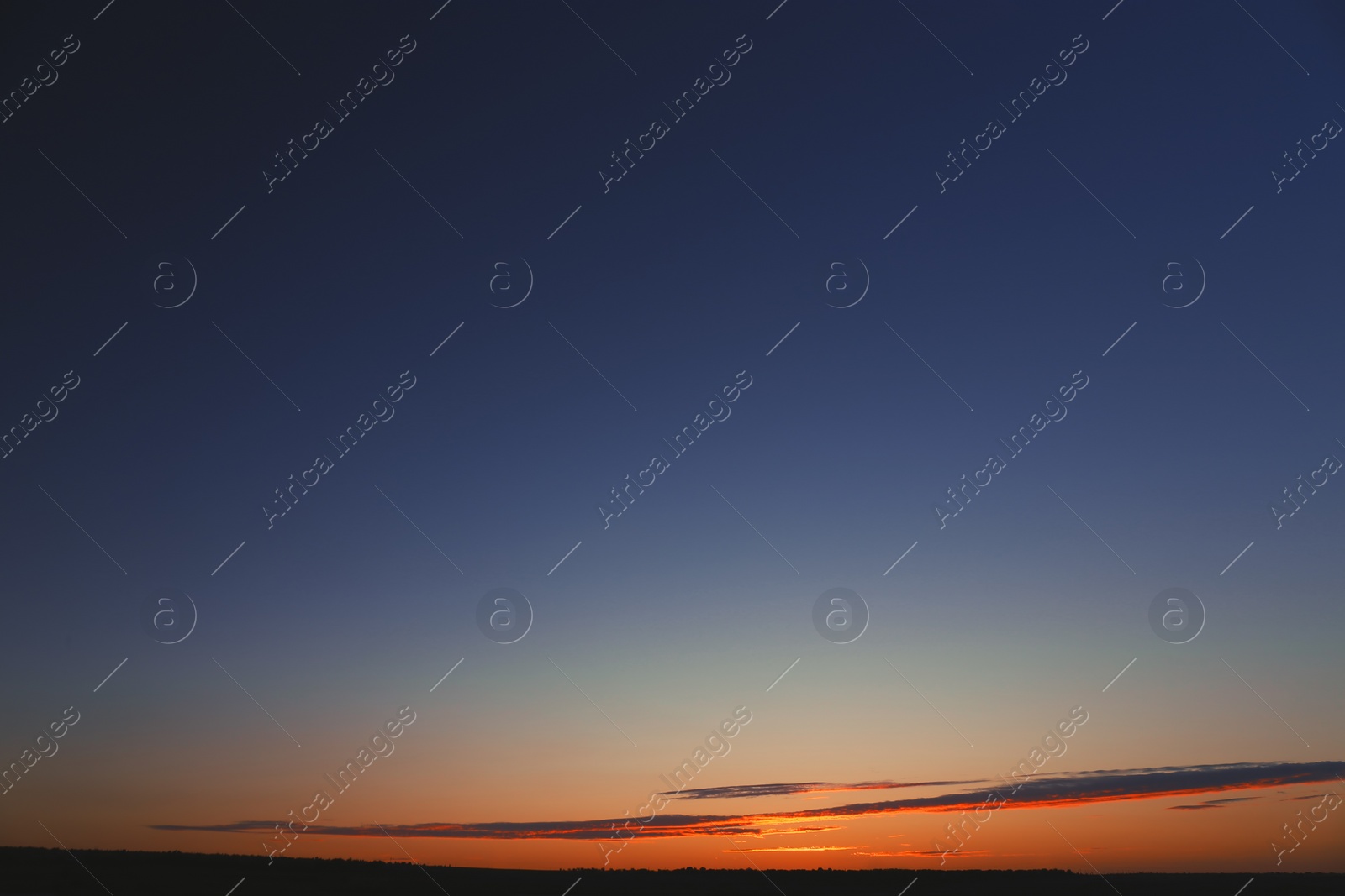 Photo of Picturesque view of beautiful sunrise. Morning sky